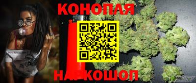 a pvp Уссурийск