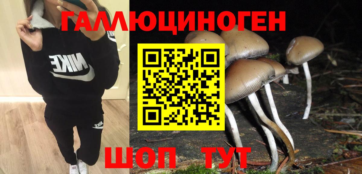 Псилоцибиновые грибы MAGIC MUSHROOMS Азнакаево