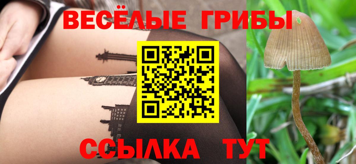 Азнакаево  Галлюциногенные грибы Psilocybe  Вход с VPN 